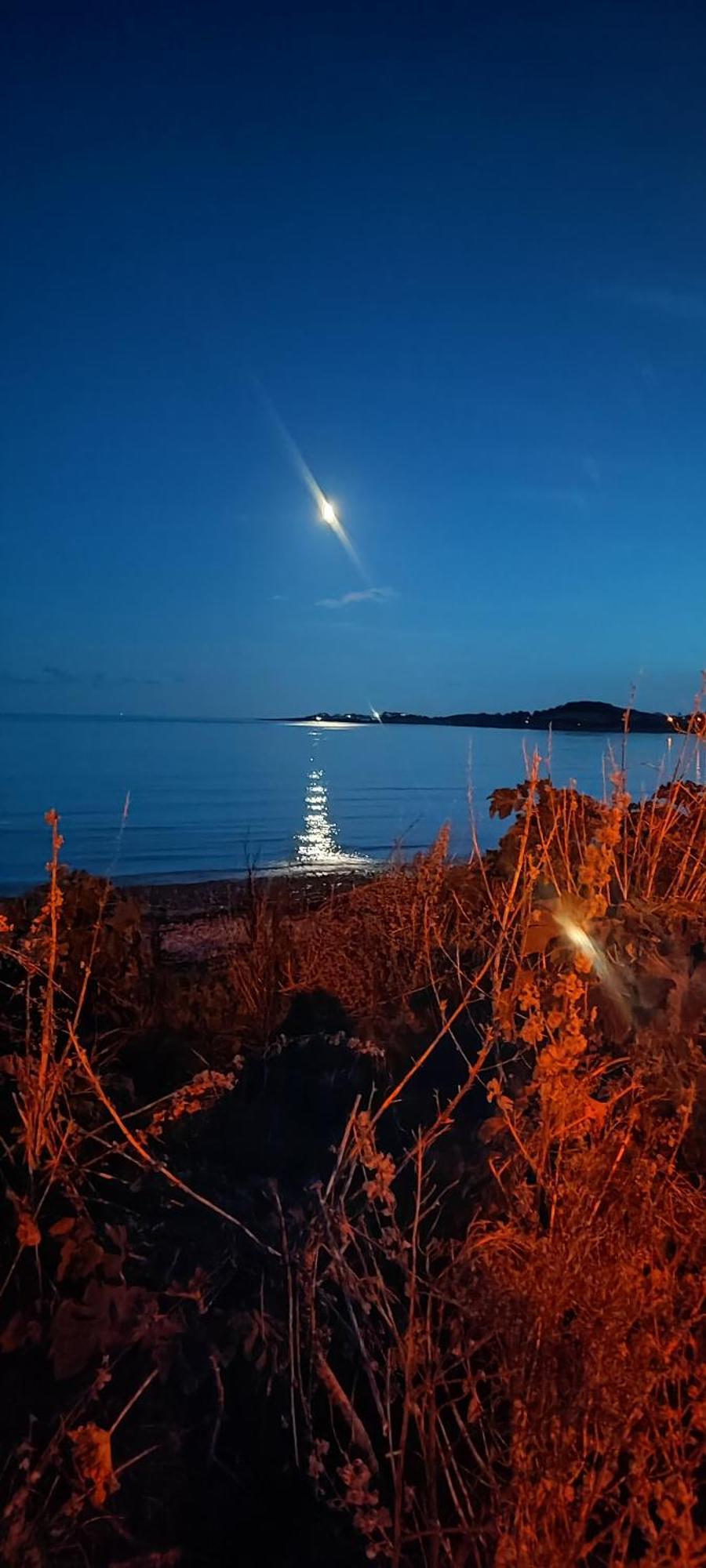 Horse Island View Luxury Retreat Apartamento Kircubbin Exterior foto